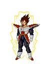 roi vegeta